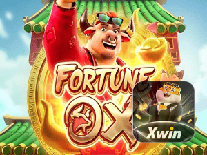 Material promocional do app XWIN — ilustração, não métricas auditadas nesta página